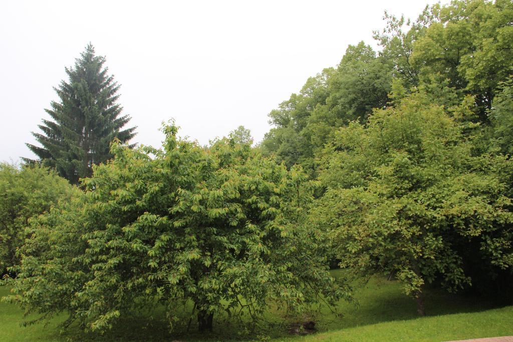 Holiday Home Maison De La Litiere Pugny-Chatenod Стая снимка